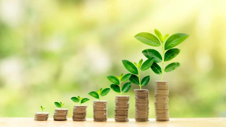 Going green: Green financing a priority for heavyweights like Adani and SBI